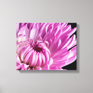 Vibrant i Rosa Dahlia Canvastryck