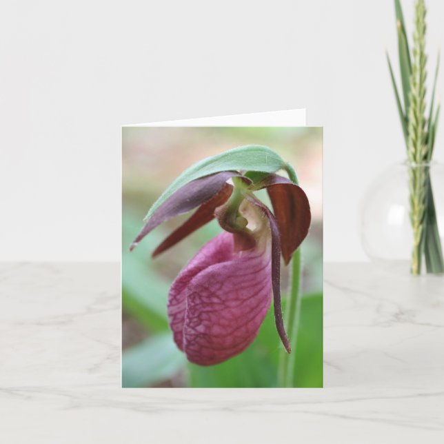 Vibrant Lady Slipper Flower Photography  Anteckningskort (Framsida)