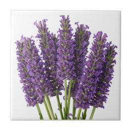 Vibrant Lavender Botanical Art Design Kakelplatta