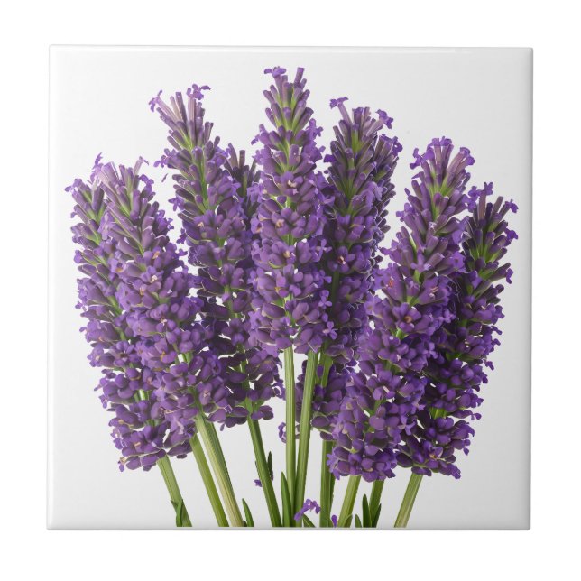 Vibrant Lavender Botanical Art Design Kakelplatta (Framsidan)