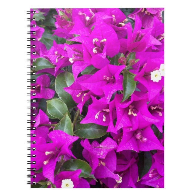 Vibrant Lila Bougainvillea Flowers Anteckningsbok Med Spiral (Framsidan)