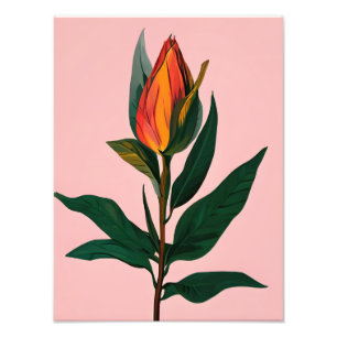 Vibrant Magnolia Bud Fototryck