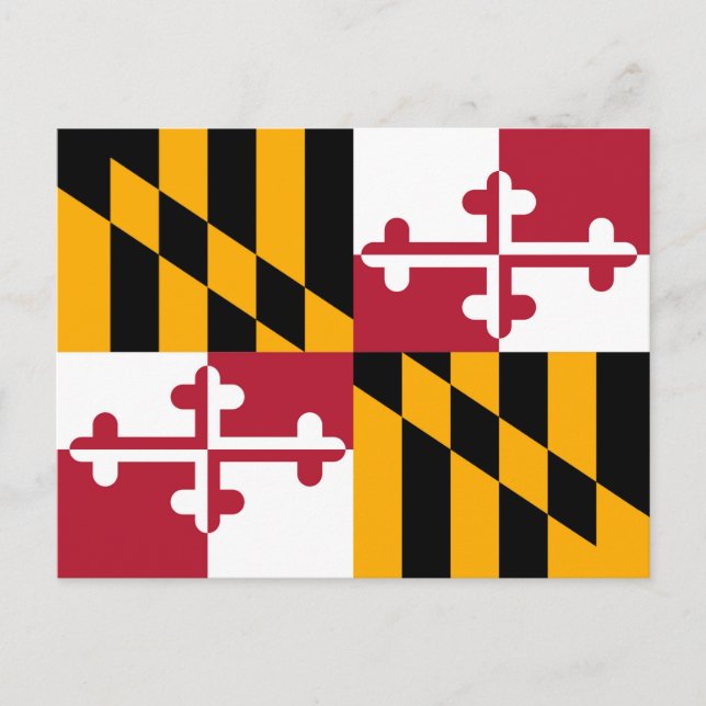 Vibrant Maryland Statlig flagga Vykort (Framsida)