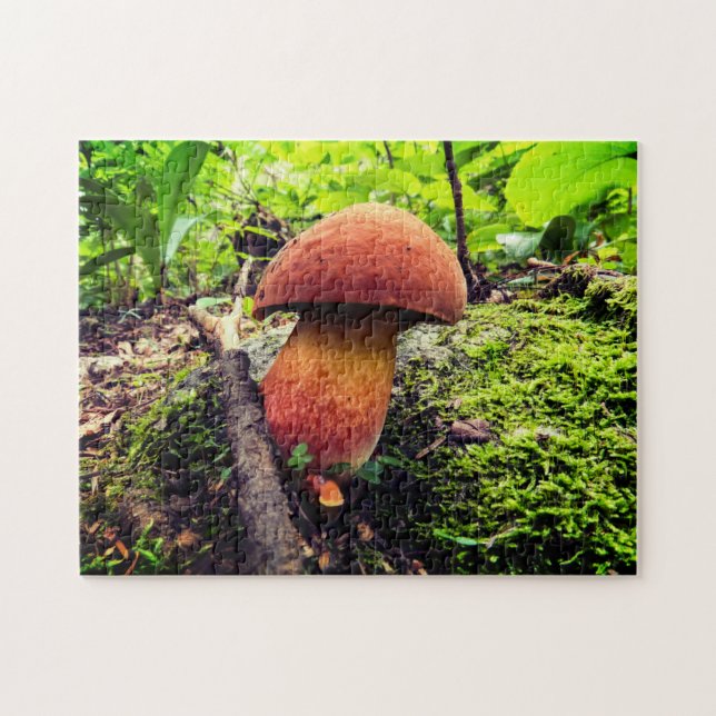 Vibrant natur | Kung Bolete Pussel (Horisontell)