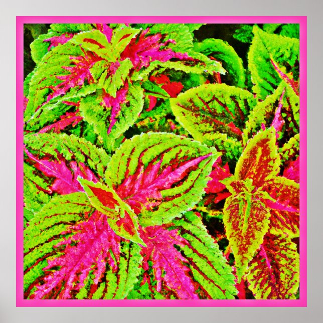 Vibrant Nature Löv Mönster Poster (Framsidan)