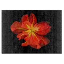 Vibrant Orange Begonia Macro