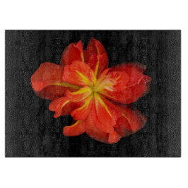 Vibrant Orange Begonia Macro