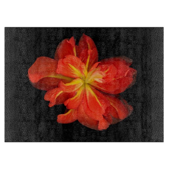 Vibrant Orange Begonia Macro (Framsidan)