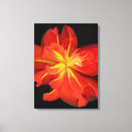 Vibrant Orange Begonia Macro Canvastryck