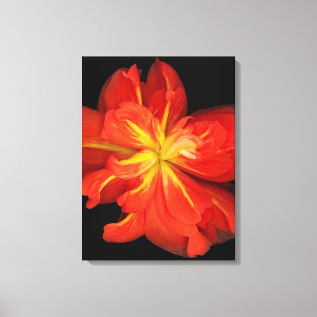 Vibrant Orange Begonia Macro Canvastryck (Framsida)