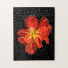 Vibrant Orange Begonia Macro Pussel