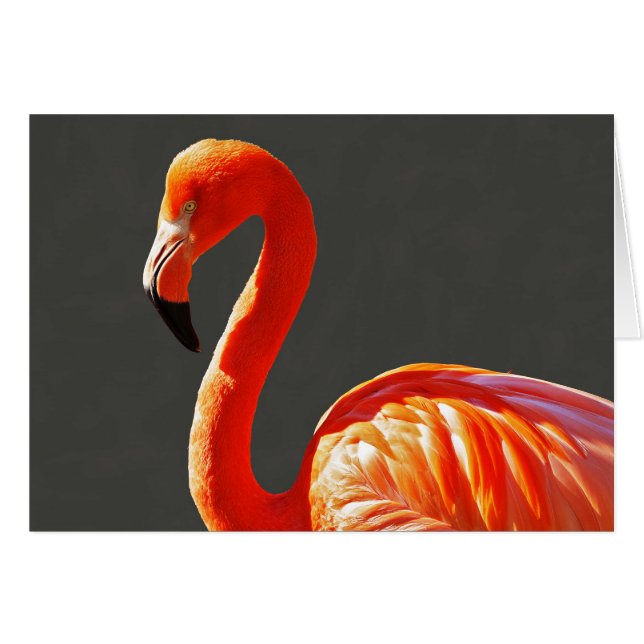 Vibrant Orange Rosa Flamingo Hälsningskort (Framsidan Horizontal)