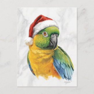 Vibrant Parrot Portrait in Santa Hat Helg Vykort