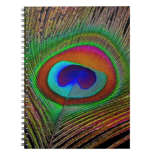 Vibrant Peacock Feather Anteckningsbok Med Spiral (Framsidan)