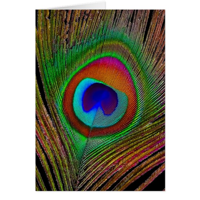 Vibrant Peacock Feather Hälsningskort (Framsidan)