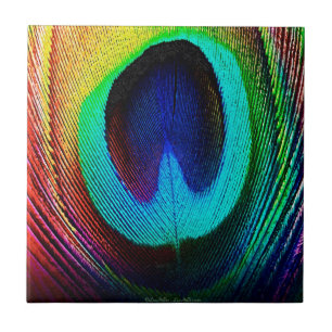 Vibrant Peacock Feather Kakelplatta