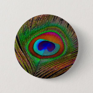 Vibrant Peacock Feather Knapp
