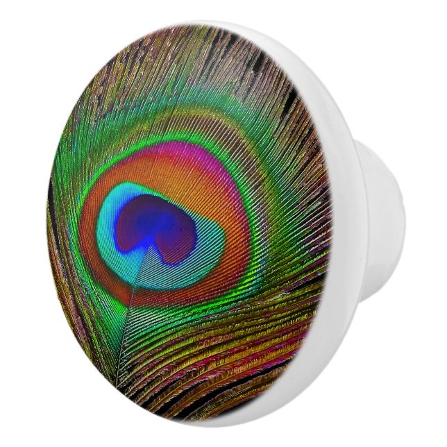 Vibrant Peacock Feather Knopp (Höger)