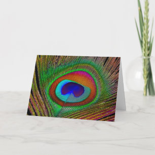 Vibrant Peacock Feather Kort