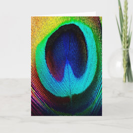Vibrant Peacock Feather Kort