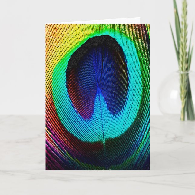 Vibrant Peacock Feather Kort (Framsida)