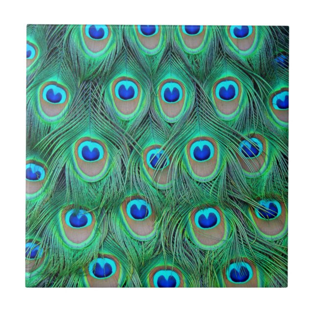 Vibrant Peacock Feathers Kakelplatta (Framsidan)