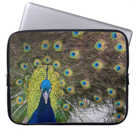 Vibrant Peacock Feathers Laptop Fodral