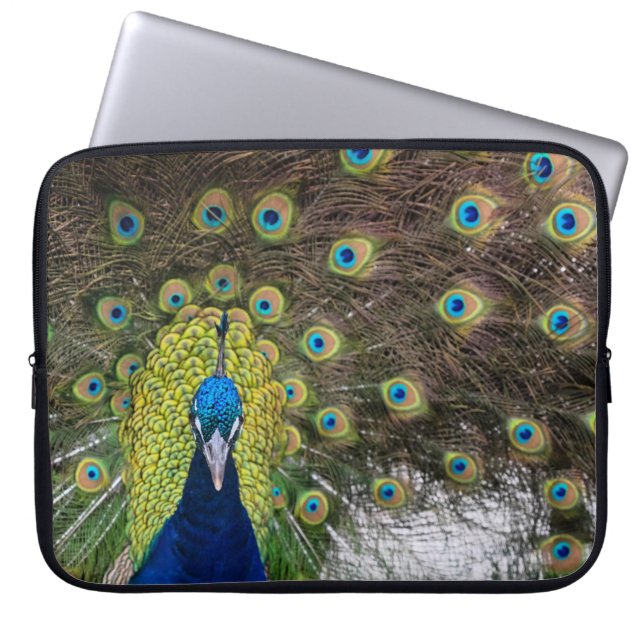 Vibrant Peacock Feathers Laptop Fodral (Framsidan)