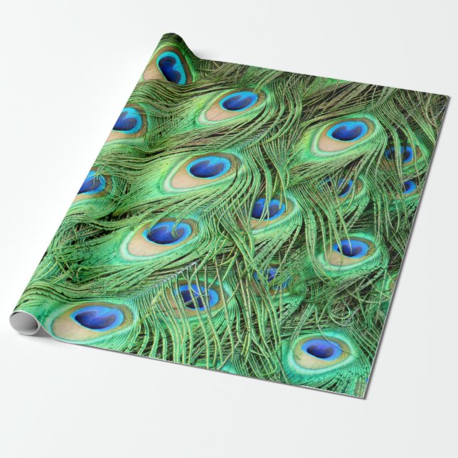 Vibrant Peacock Fjädrar Presentpapper (Utrullad)