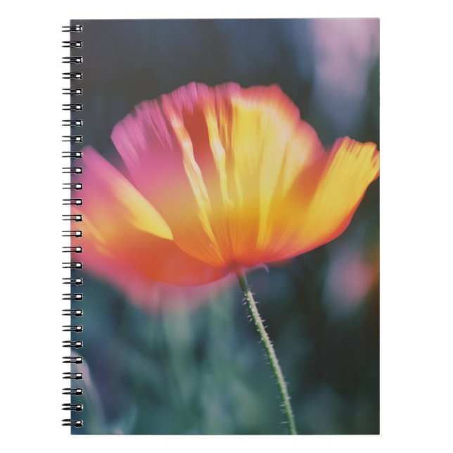 Vibrant Petals: En uppblossning av färgad Flora Anteckningsbok (Framsidan)