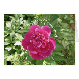 Vibrant Pink Peony Flower Anniversary Card Hälsningskort