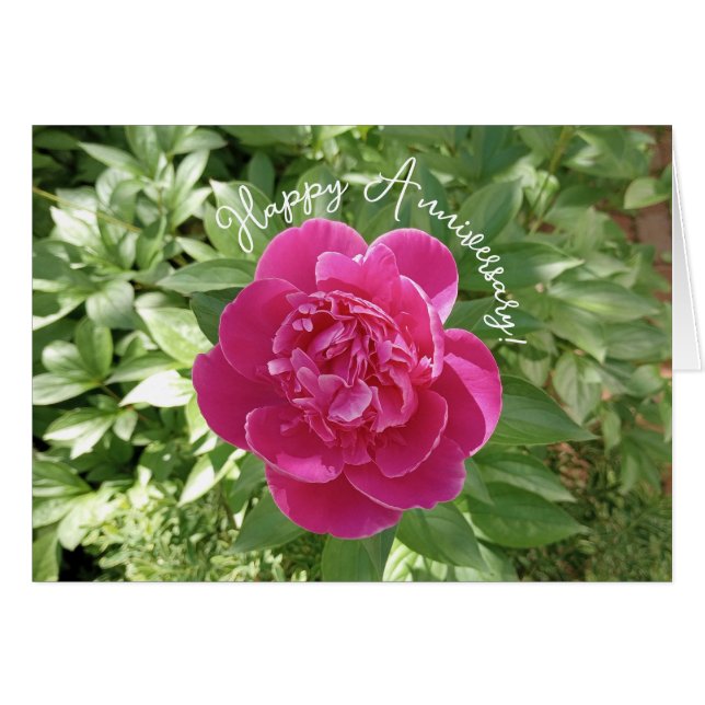 Vibrant Pink Peony Flower Anniversary Card Hälsningskort (Framsidan Horizontal)
