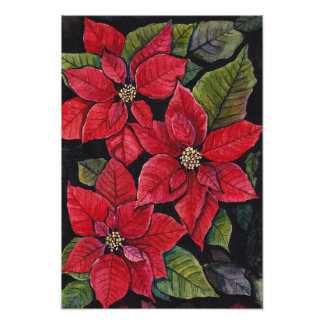 Vibrant poinsettia i vattenfärgen fototryck