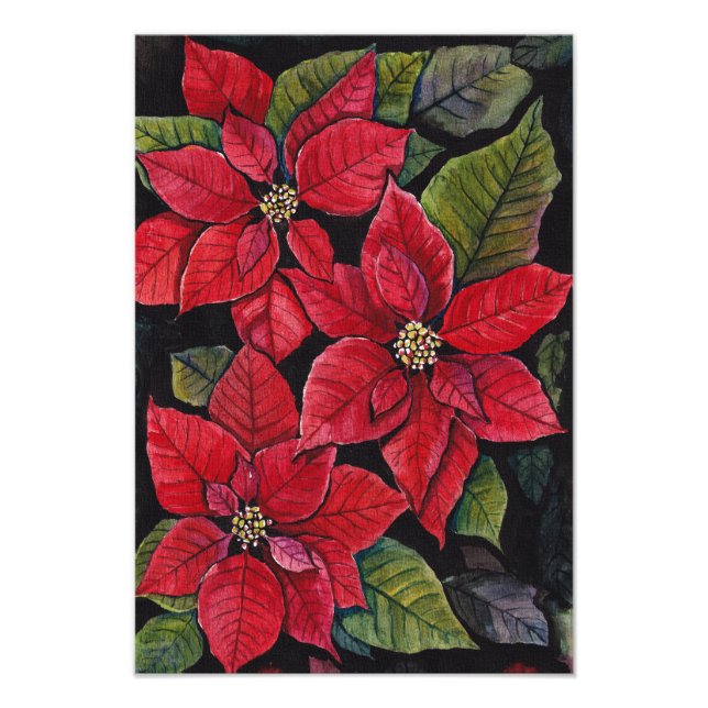 Vibrant poinsettia i vattenfärgen fototryck (Framsidan)