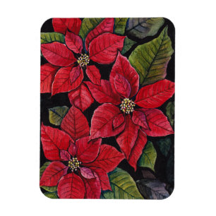 Vibrant poinsettia i vattenfärgen magnet