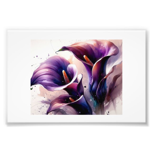 Vibrant Purple Calla Lilies,  Fototryck (Framsidan)