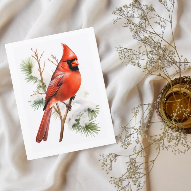 Vibrant Red Cardinal in Winter - Bird Hälsning Car Vykort (Skapare uppladdad)