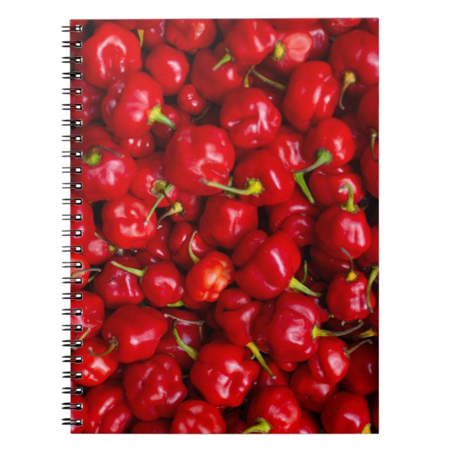 Vibrant Red Chili Pepper Harvest Anteckningsbok (Framsidan)