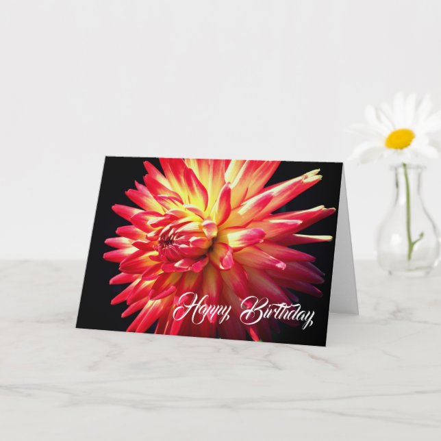 Vibrant Red Dahlia Flower Birthday Kort (Liten växt)