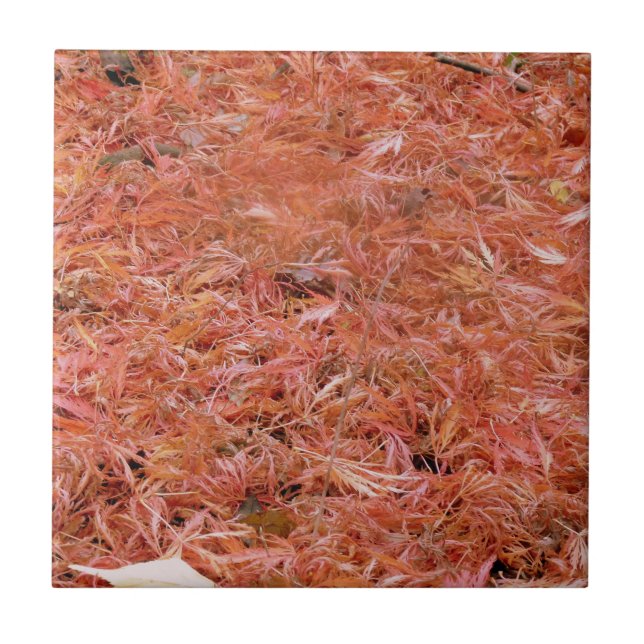 Vibrant Red Höst löv Kakelplatta (Framsidan)