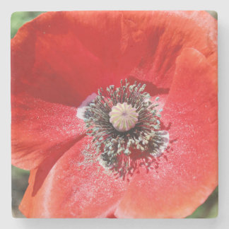 Vibrant Red Macro Botanical Poppy Floral Stenunderlägg