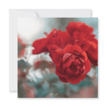 Vibrant Red Rose Bloom Botanical Greeting Card