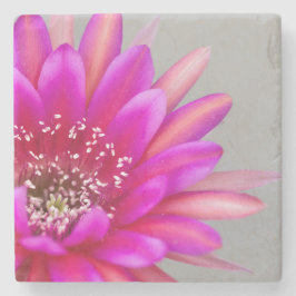 Vibrant Rosa Cactus blompetals Stenunderlägg