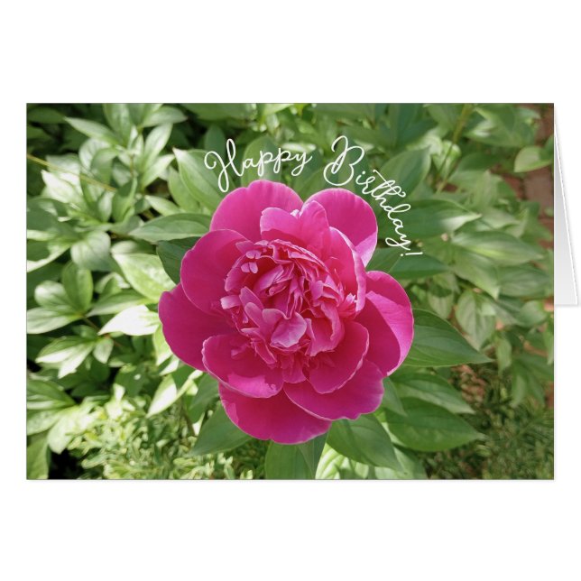 Vibrant Rosa Peony Flower Birthday Card Hälsningskort (Framsidan Horizontal)