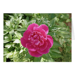 Vibrant Rosa Peony Flower Mors dag Card Hälsningskort