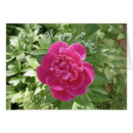 Vibrant Rosa Peony Flower Påsk Card Hälsningskort