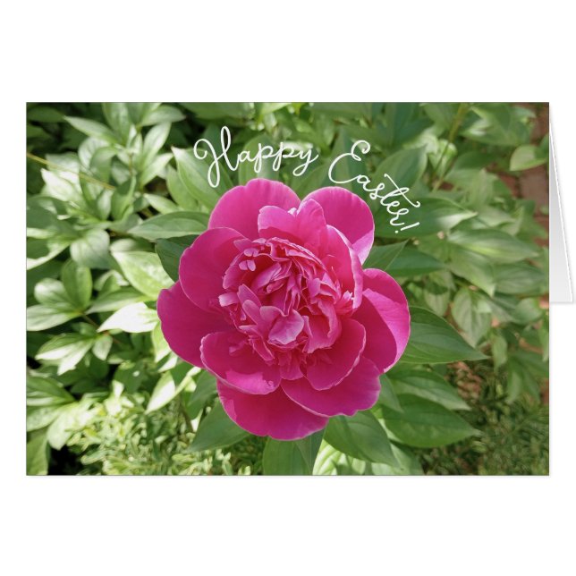 Vibrant Rosa Peony Flower Påsk Card Hälsningskort (Framsidan Horizontal)