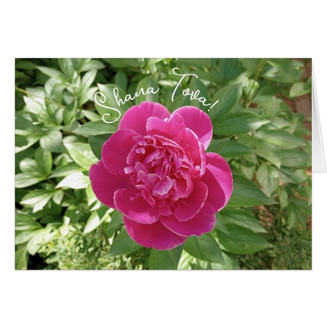 Vibrant Rosa Peony Flower Rosh Hashanah Card Hälsningskort (Framsidan Horizontal)