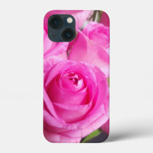 Vibrant Rosa ros