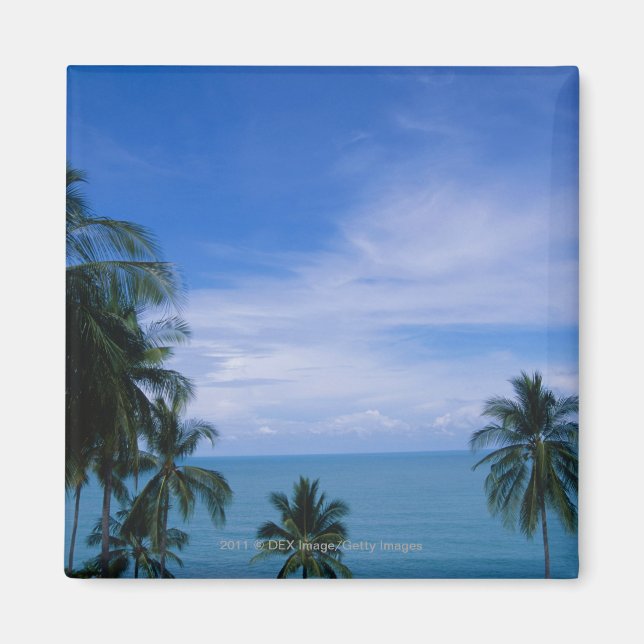 Vibrant Shreline Magnet (Framsidan)